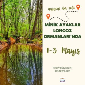 Minik Ayak İzleri ile 1-3 Mayıs Longoz Kampı